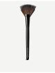 Fan Powder brush