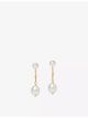 astley-clarke-chain-18ct-yellow-gold-vermeil-and-freshwater-pearl-drop-earrings-main-1.jpg