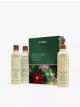 aveda-invigorating-awe-rosemary-mint-hair-and-body-essentials-set-worth-72-main-1.jpg