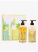 baobab-collection-miami-hand-lotion-and-hand-wash-giftbox-main-1.jpg