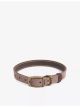 barbour-leather-and-brass-dog-collar-main-1.jpg