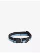 hay-stripe-flat-woven-dog-collar-main-1.jpg