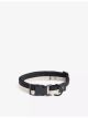 hay-striped-flat-polyester-dog-collar-main-1.jpg