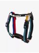 hay-striped-woven-medium-dog-harness-main-1.jpg
