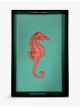 les-ottomans-sea-horse-wooden-tray-40cm-x-25cm-main-1.jpg