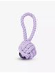 Twisted rope dog toy 25cm