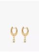 pdpaola-lily-18ct-yellow-gold-plated-sterling-silver-and-cubic-zirconia-huggie-earrings-main-1.jpg