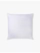 the-white-company-brittany-dot-print-medium-square-cotton-cushion-50cm-x-50cm-main-1.jpg
