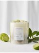 the-white-company-lime-bay-botanical-medium-scented-mineral-wax-candle-834g-main-1.jpg