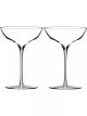 waterford-elegance-belle-coupe-glasses-set-of-two-main-1.jpg